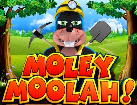 Moley Moolah Going Underground