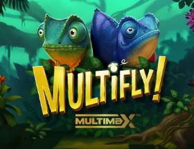 MultiFly