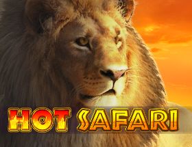 Hot Safari